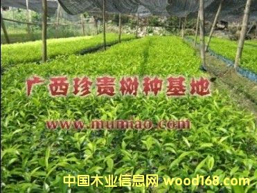 �c���鿴������D�Ŵ�DƬ