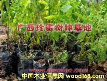 �c���鿴̴����D�Ŵ�DƬ