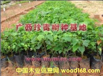 �c���鿴��̴��D�Ŵ�DƬ