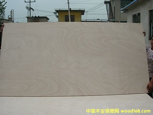 �z�ϰ��Ԕ����B