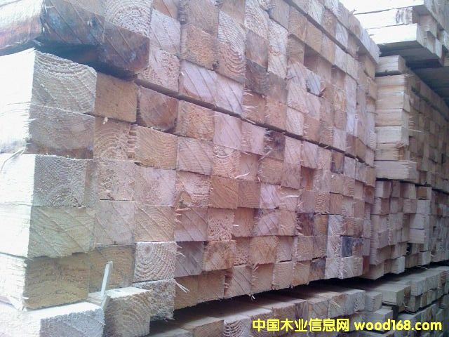 ����ľ��4878