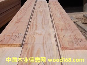 ݗ���ɟo�����1��Ԕ����B