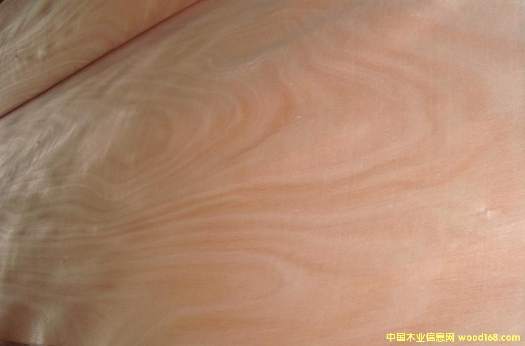 �ΰ��Ԕ����B