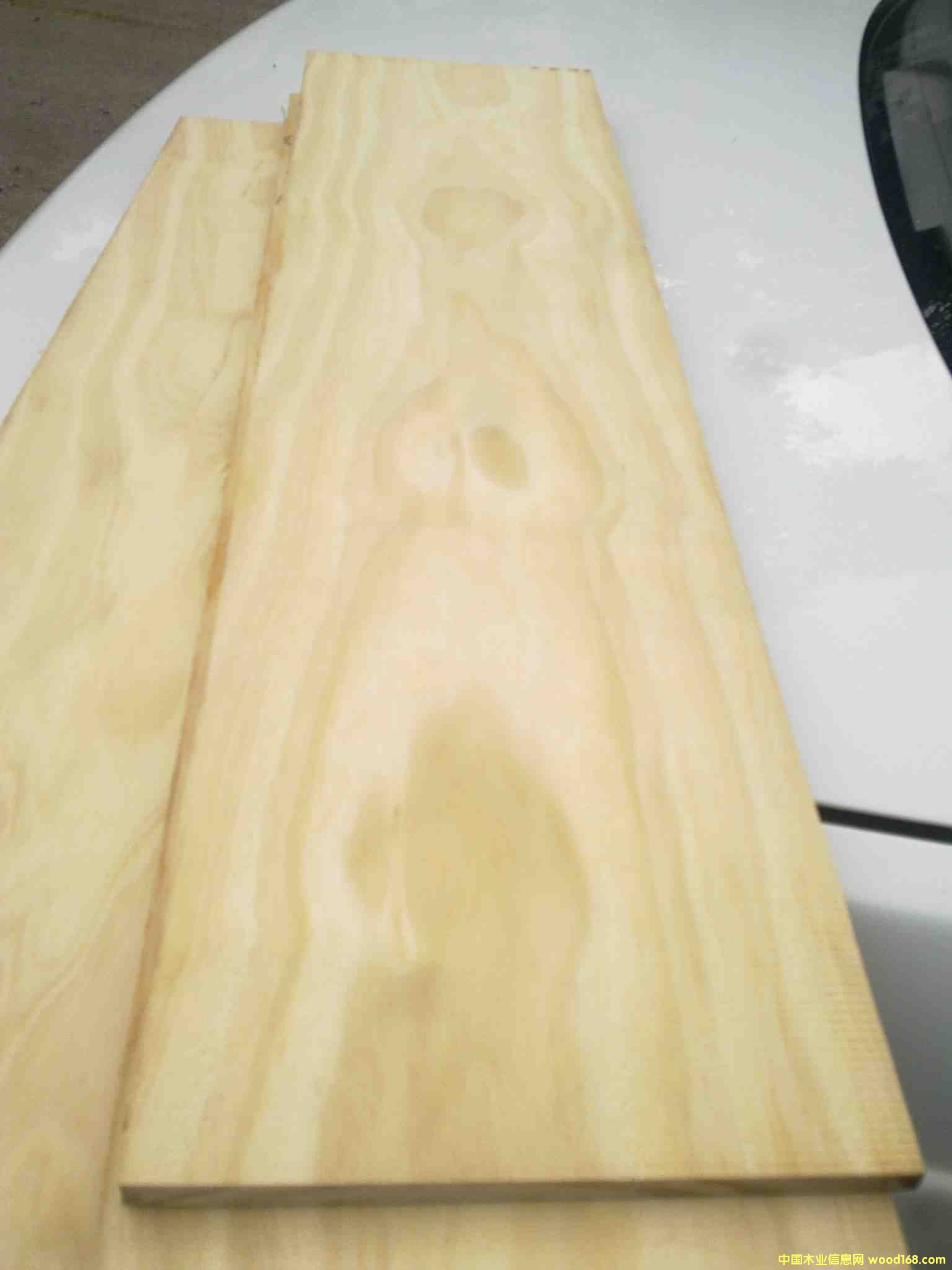 ����͢�ɟo���ĵ�Ԕ����B