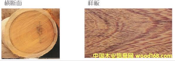 �����u��ľ��Ԕ��(x��)��B