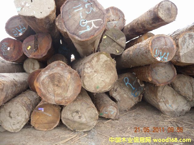 �Fɼ��Ԕ����B