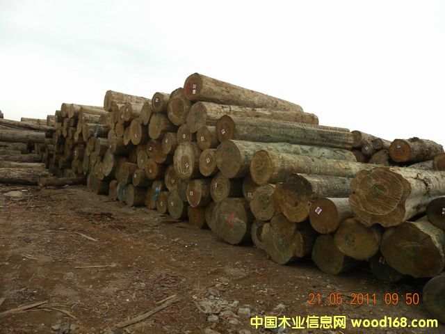 ݗ���ɵ�Ԕ����B