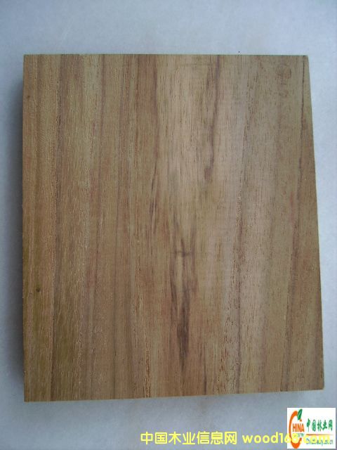 ��ľ�ʵ�Ԕ����B