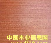 �ߙn��ȻľƤ�����Ԕ����B