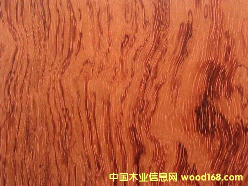 �ߙn��ȻľƤ�����Ԕ����B