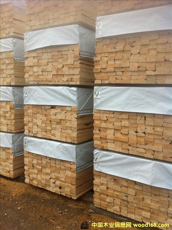 �������ô��|SPF��Ȱ�ĵ�Ԕ����B