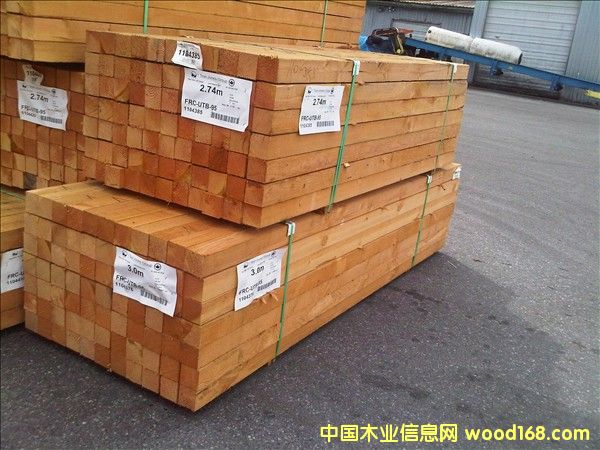 �������|���ô��Fɼ���/䏲ĵ�Ԕ����B