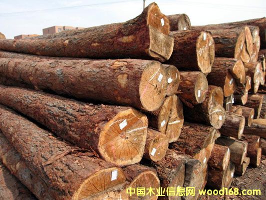 ԭľ��Ԕ��(x��)��B