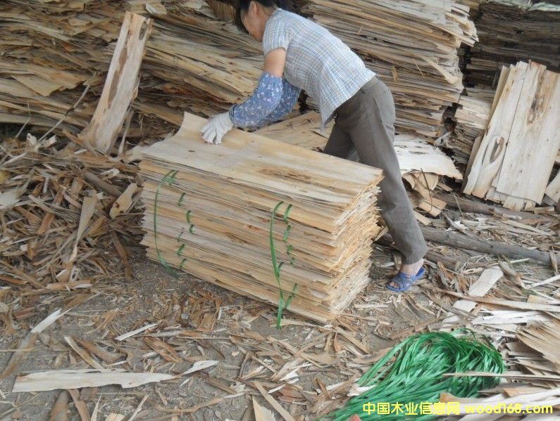 �������ڴ��