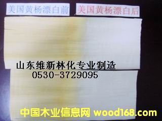 ��ˇƷƯ�׈DƬ-3