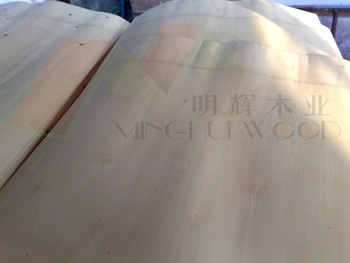 ��ľ�ΰ��Ԕ��(x��)��B