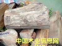 ��ľ���ϣ����^)