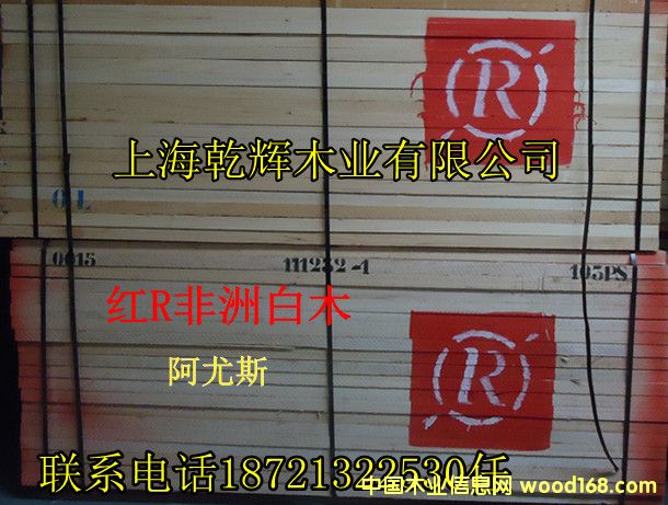 [��] ���ް�ľ