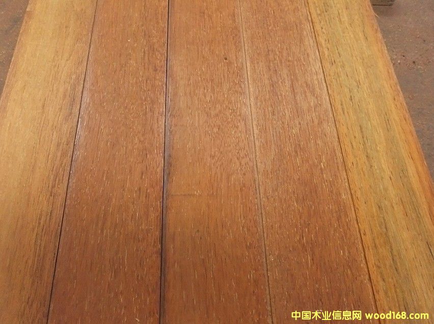 [��] ���u�����}��ľ�����}��ľ��ӡ�Ფ�}��ľ�����޲��}��ľ���R���������}��ľ