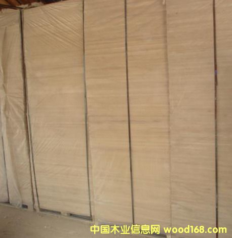 ����ľ�I��Ԕ����B