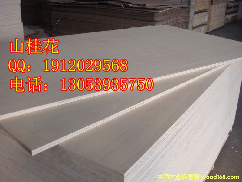 ɽ������z�ϰ��Ԕ����B