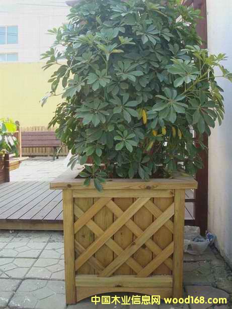 ����ľ��Ʒ��Ԕ��(x��)��B