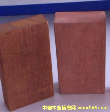 ����ľ��Ԕ����B