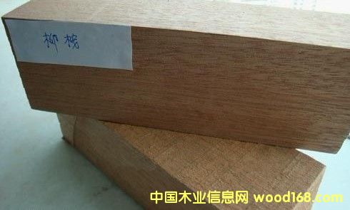 [��] ������ľ��ġ�������ľ��ġ���ľ����ľ���Ϻ��S����ľ����r