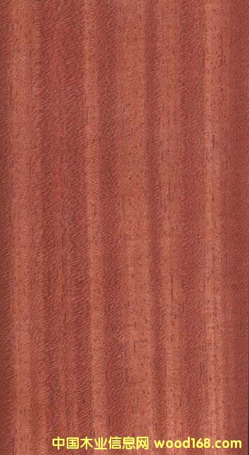 ���޲��}���Ԕ����B