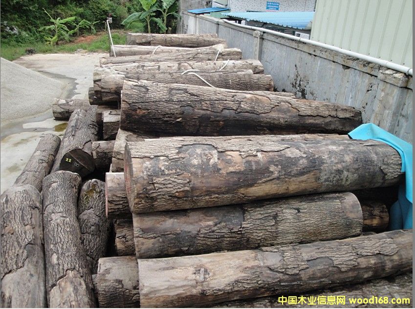 ���в�ˮ������Ԕ����B