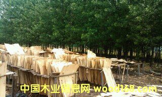 ���Іΰ��Ԕ����B