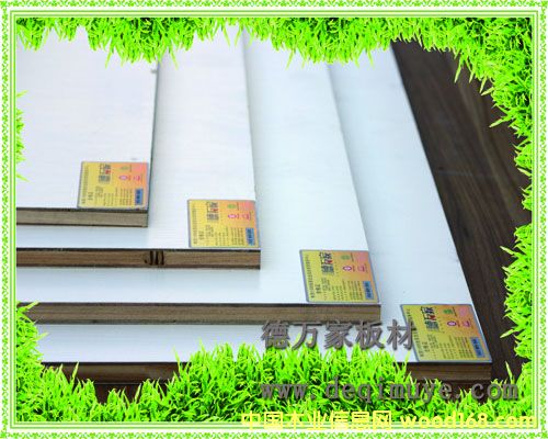 ���f��17mm���Ӱי���  ��Ԕ����B