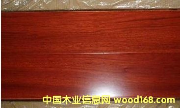 ������ľ�ذ��Ԕ����B