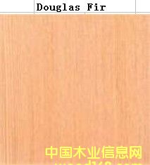 ������˹��ɼ