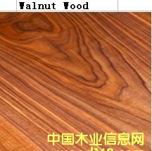 ����ľ��Ԕ����B