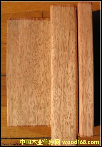 ����ľ�����Xһ�����|����ô�ӣ��Ϻ����hľ�I��Ԕ����B