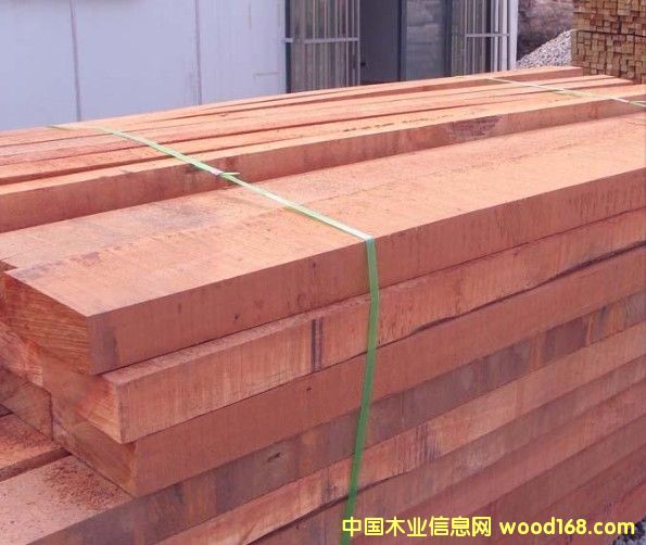 ɽ��ľ�����Xһ��������ɽ��ľ�m�����ذ�����Ϻ����hľ�I��Ԕ����B