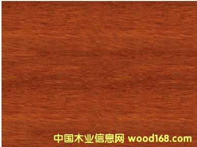 �����y��ľ������y��ľ����r���Ϻ��S���y��ľֱ�N��Ԕ����B