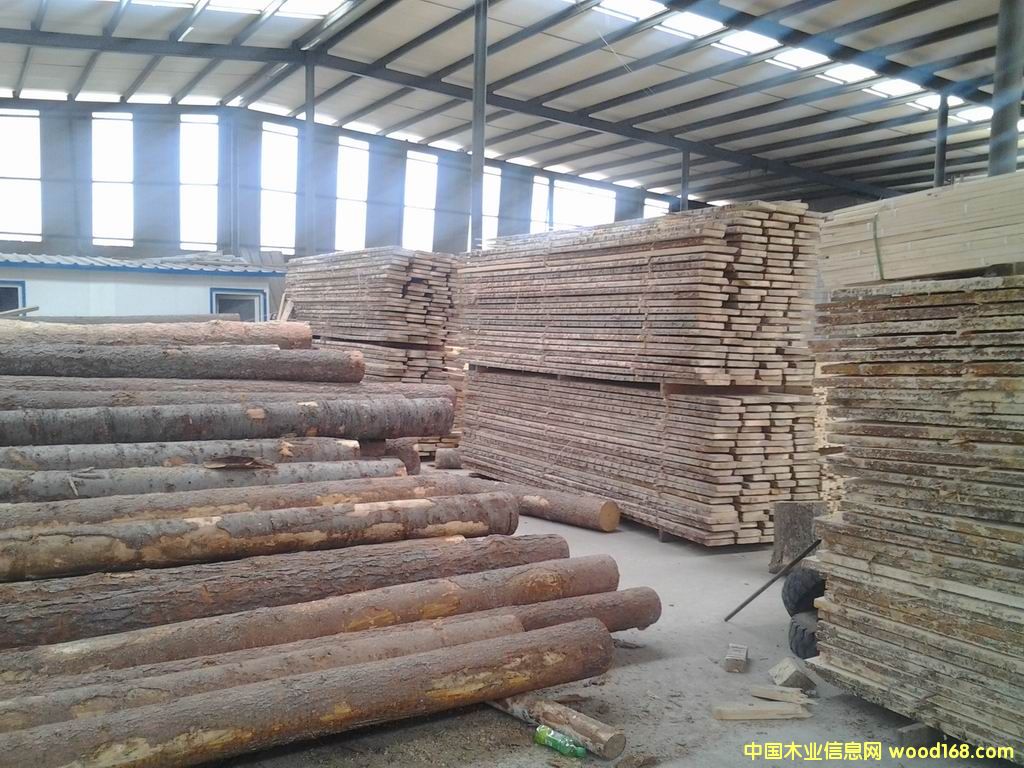 ľ���Ԕ��(x��)��B