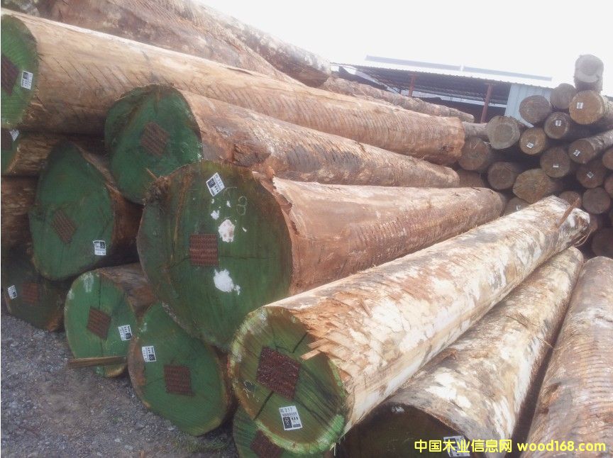 ��������ľ-õ��ľԭľ��Ԕ����B