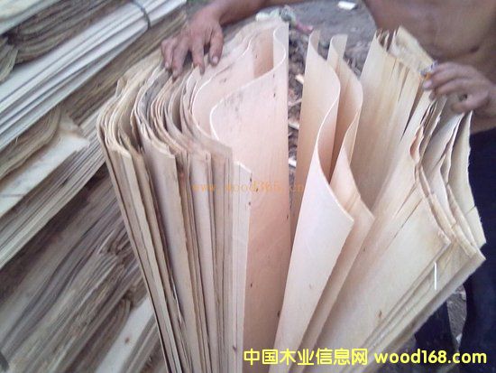 ��ľľƤ��Ԕ����B