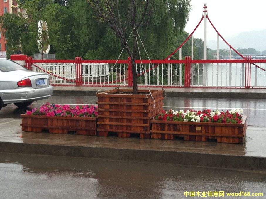 ����ľ̿��ľ�����Ԕ����B