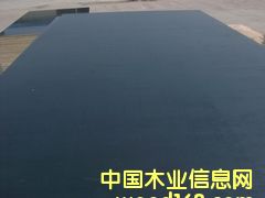 ����ģ���Ԕ����B