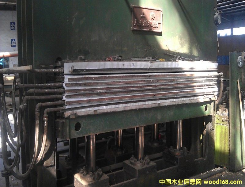 �Ϻ��ቺ6��