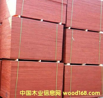 �ߏ��Ƚ���ľ�z�ϰ�