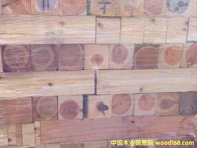 ɼľ�������_��