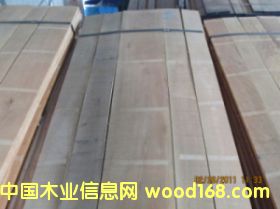 櫸木的詳細介紹