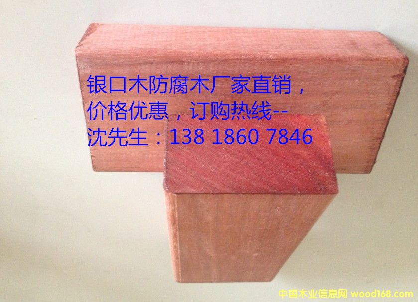 �y��ľ����ľ��Ԕ����B