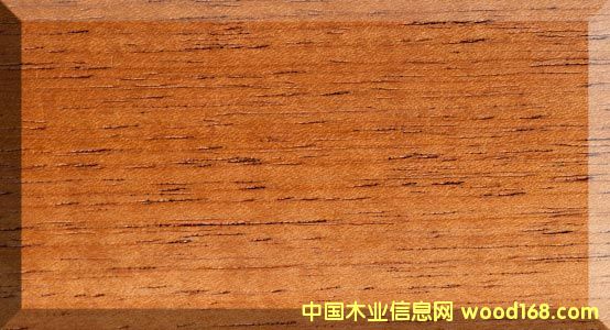 ������ѩ�ɵ�Ԕ����B