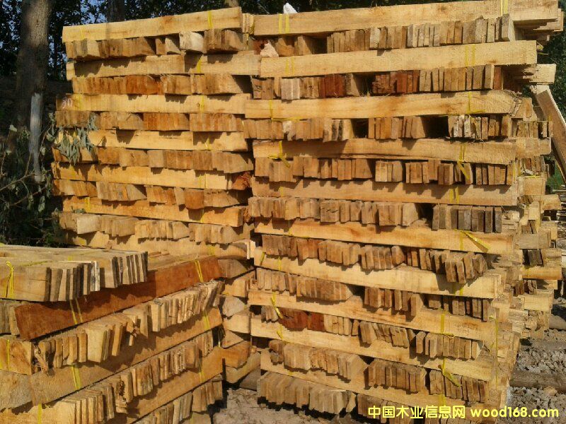 ������䣩��ĵ�Ԕ����B